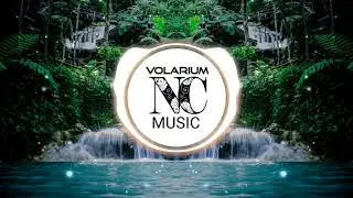 (NO COPYRIGHT MUSIC) 🎧 [FREE] 🎵 Relaxed (Tropical House)-SKIRK 🎮 #TropicalHouse