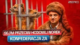 ZAKAZ HODOWLI ZWIERZĄT NA FUTRA. CO ZROBI NAWROCKI?