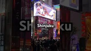📍Giant 3D Cat Billboard Shinjuku | #3DCatBillboardShinjuku #3Dcat #Shinjuku #3DBillboard