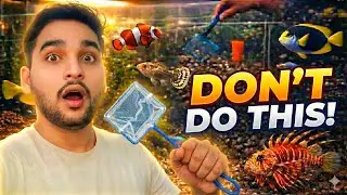 Don&rsquo;t Make This Mistake While Cleaning Fish Tank! 🐟 | Right Water & Medicine | Marathi