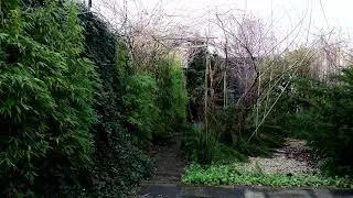 The boring Garden #075