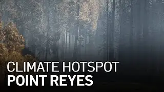 Climate Change Hotspot: Point Reyes -- Climate Change Lengthens Wildfire Season