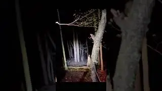 #Paranormal police on patrol #creepy voices  #ghost #cryptids