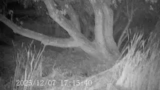CIGMAN 4k Night Vision - VID0007