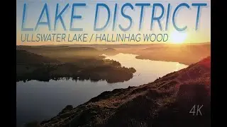 Lake District - Ullswater Lake and Hallinhag Wood