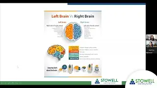 Left Brain vs. Right Brain and the Dyslexic Brain