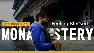 Monastery with my Pet , Om mani Padme hum  || Biker Dog