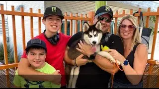 Dog rescued from car at Las Vegas casino finds her furever home