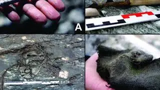 Ancient History News ~ Angkor Wat, 300,000 Y.O. Spear, Vikings, Natufians & More