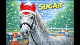 ❄️🌬️ La semaine mouvement&eacute;e de Sugar #Sugar #Cheval #CentreEquestre