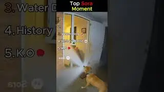 Top Sora Moments 🤣🤣