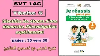 SVT 1AC | Identifier les étapes d'une démarche d'investigation expérimental | Tâche 5