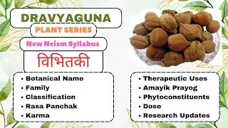 Bibhitaki - Dravyaguna Plants Series |#bams2ndyear #triphalabenefits #plants #dravyaguna #bibhitaki
