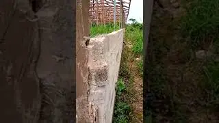 Pig Farm construction project