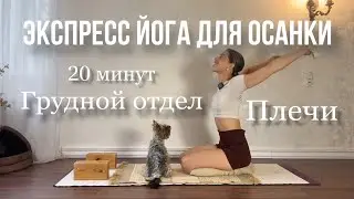 ЭКСПРЕСС ЙОГА ДЛЯ ОСАНКИ | ГРУДНОЙ ОТДЕЛ И ПЛЕЧИ