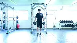 DB Alternative Lunge