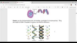 Parallel Distance Matrix Computation