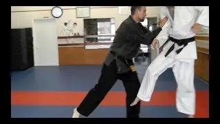 Qigong, Iron body