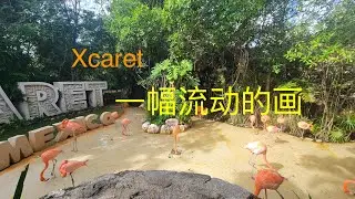 墨西哥坎昆系列--Xcaret 主题公园