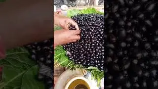 Jamun Fruit Chaat Wala || Jamun chaat recipe || #shorts #tiktok #trending