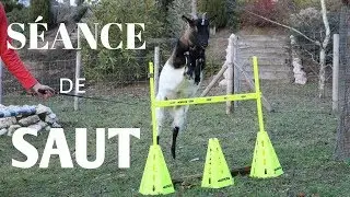 Séance de SAUT