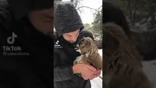 Baby Goat Cries Calling Her Mom Tiktok Viral Trend😮❤️