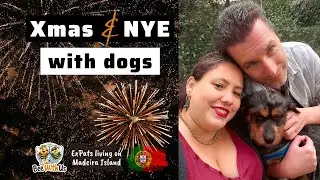 Xmas, New Year's Eve, Rescued Dogs, House Updates, all in one (belated) video!