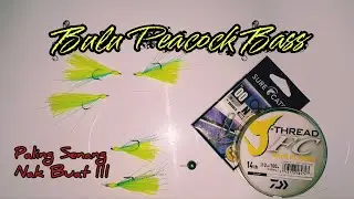 CARA BUAT UMPAN BULU UNTUK IKAN PEACOCK BASS || YANG PASTI SENANG DAN MUDAH DIBUAT