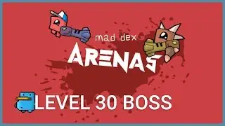 Mad Dex Arenas - Passage 30 lvl BOSS