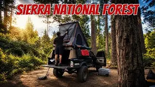 Exploring The Sierra National Forest In My Overland 1st Gen Tacoma! | Relax Getaway From The City!