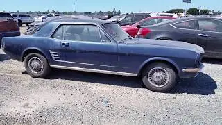 1966 Ford Mustang Barn Find 1 Owner Low Miles 66 Charity Donation Sold Copart Insurance Auto Auction
