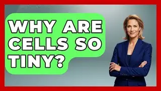 Why Are Cells So Tiny? - The Everyday Why
