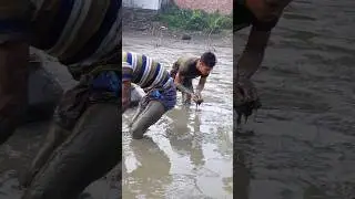 Amazing asian people fishing.#shorts #fishing#village
