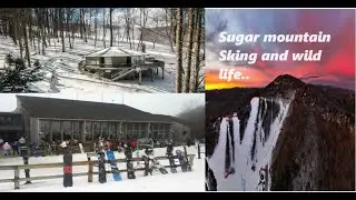 Sugar Mountain Cabin House Part 3 | alpine mountains