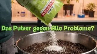 PFLANZEN OHNE WASSER  ÜBERLEBEN mehrere Wochen? | Holidaygrow oder Hollywood? | Wir testen für euch