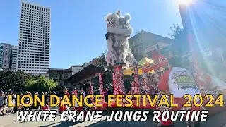 Lion Dance Festival 2024 | White Crane Lion Dance Jongs High Poles