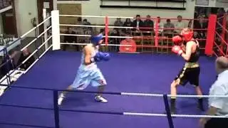 moboxer winning unanimous