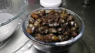 How to make a delicious Somrong # ផ្លែសំរង