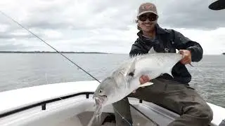 Gator Bluefish On The Fly - Bait and switch