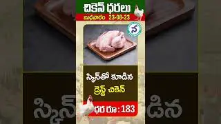 Chicken Rate 23-08-2023 || Today Chicken Price In Hyderabad || Chicken Rate || Namasthe Telangana