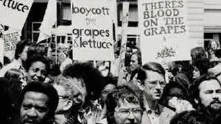 History Civil Rights Project - The United Farm Worker's Movement