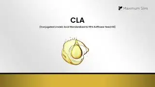 MAX CLA 3000 Extra High Potency Supports Lean Muscle Mass Non-Stimulating Conjugated Linoleic Acid
