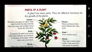 PARTS OF A PLANT Science class 1 chapter 3 part 3 [PLANTS AROUND US]