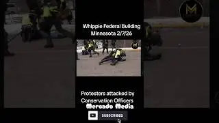 #Миннесота #Протестующие подверглись нападению со стороны департамента шерифа у федерального здан...