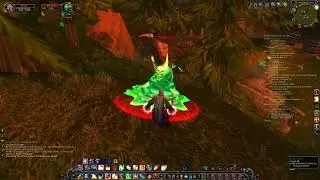 WoW anniversary gameplay Paladin