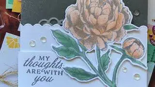 Prized peony And Other Cards