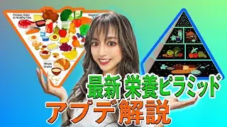 [2025&ndash;2030] Explaining the latest nutritional pyramid | Differences from the old pyramid