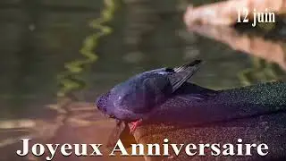 🎂 JOYEUX ANNIVERSAIRE le 12 juin 🎈