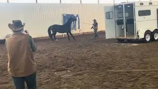 Tim Brock Trailer Demo
