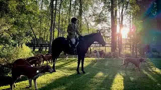 Metamora Hunt (Pre-Hunt 2024)